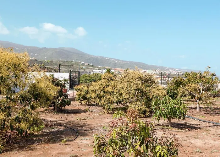 Hébergement de vacances Casas Quemahierro Icod De Los Vinos